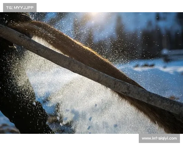 北疆气温骤降，阿勒泰毛皮滑雪文化展吸引游客预热